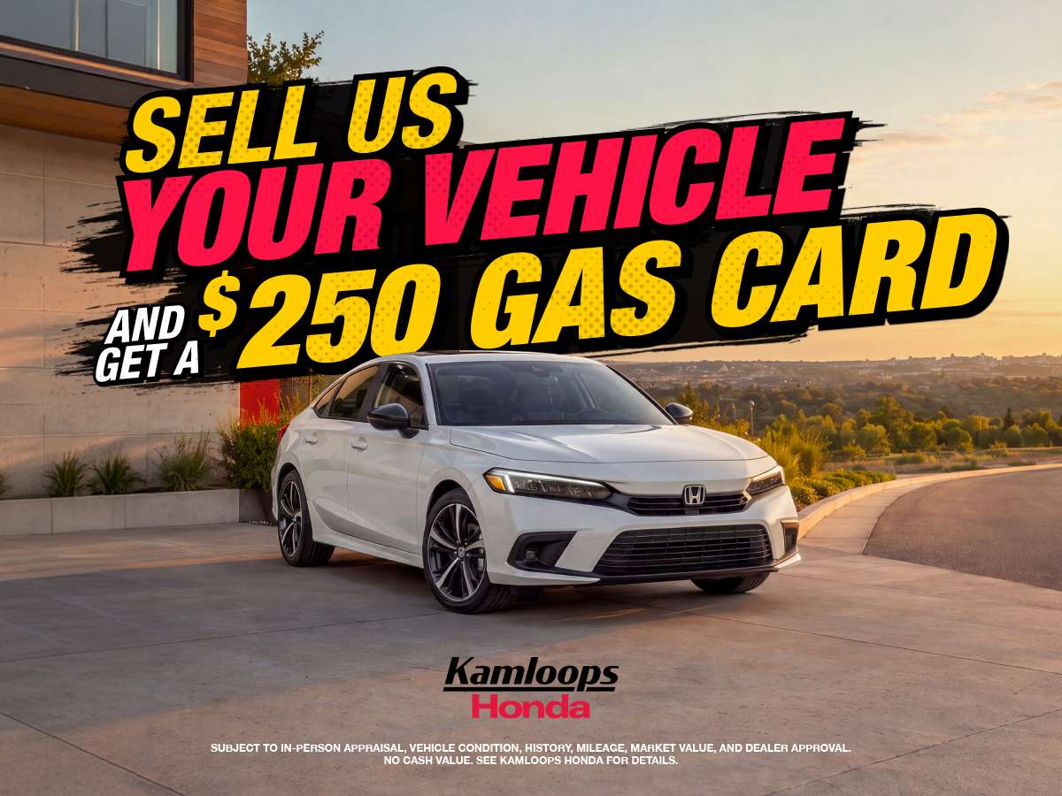 Trade In Promo