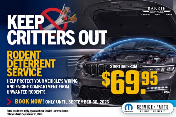 Keep Critters OutRodent Deterrent ServiceFor Only $69.95 + Taxes