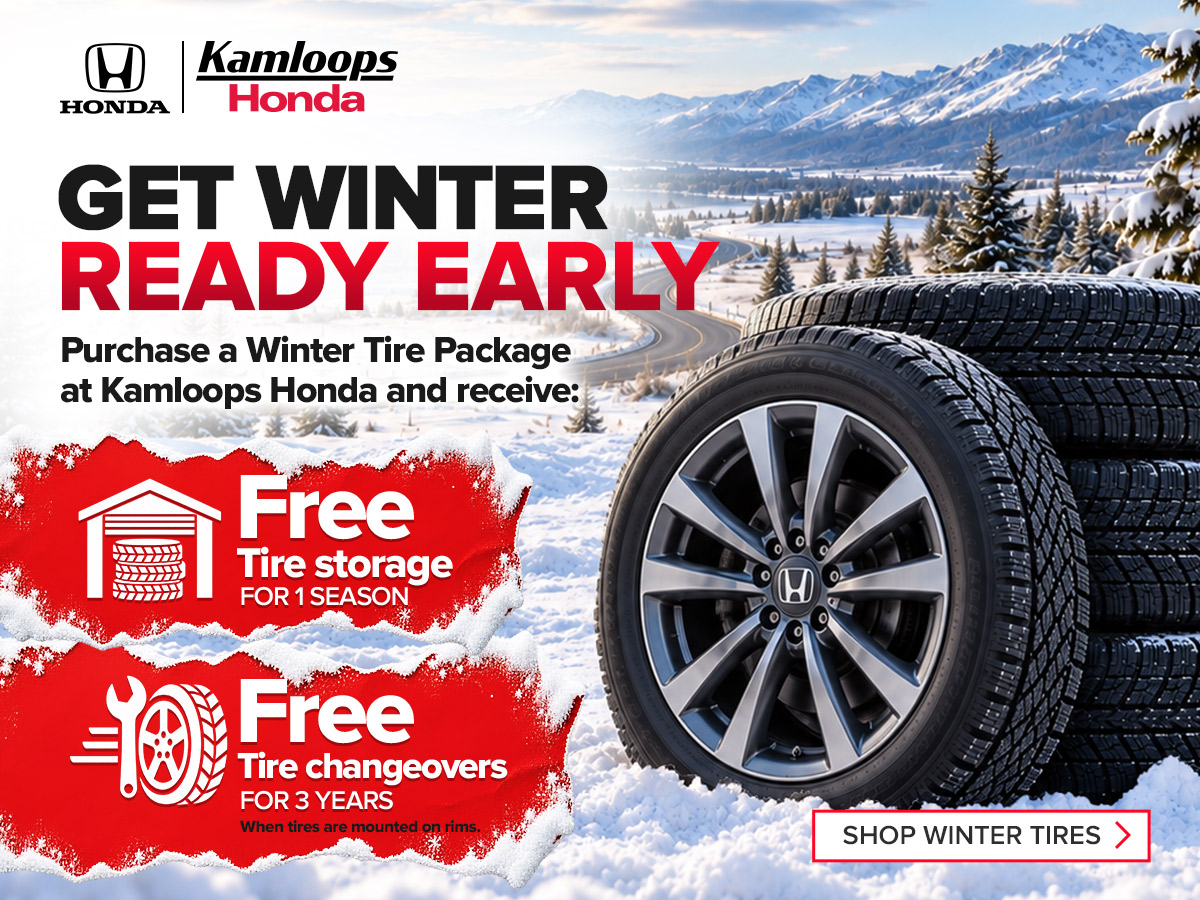 Winter Ready Service Promo