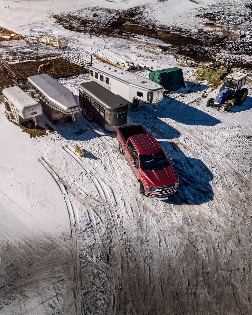 2026 Ford F150 Cattle Farm