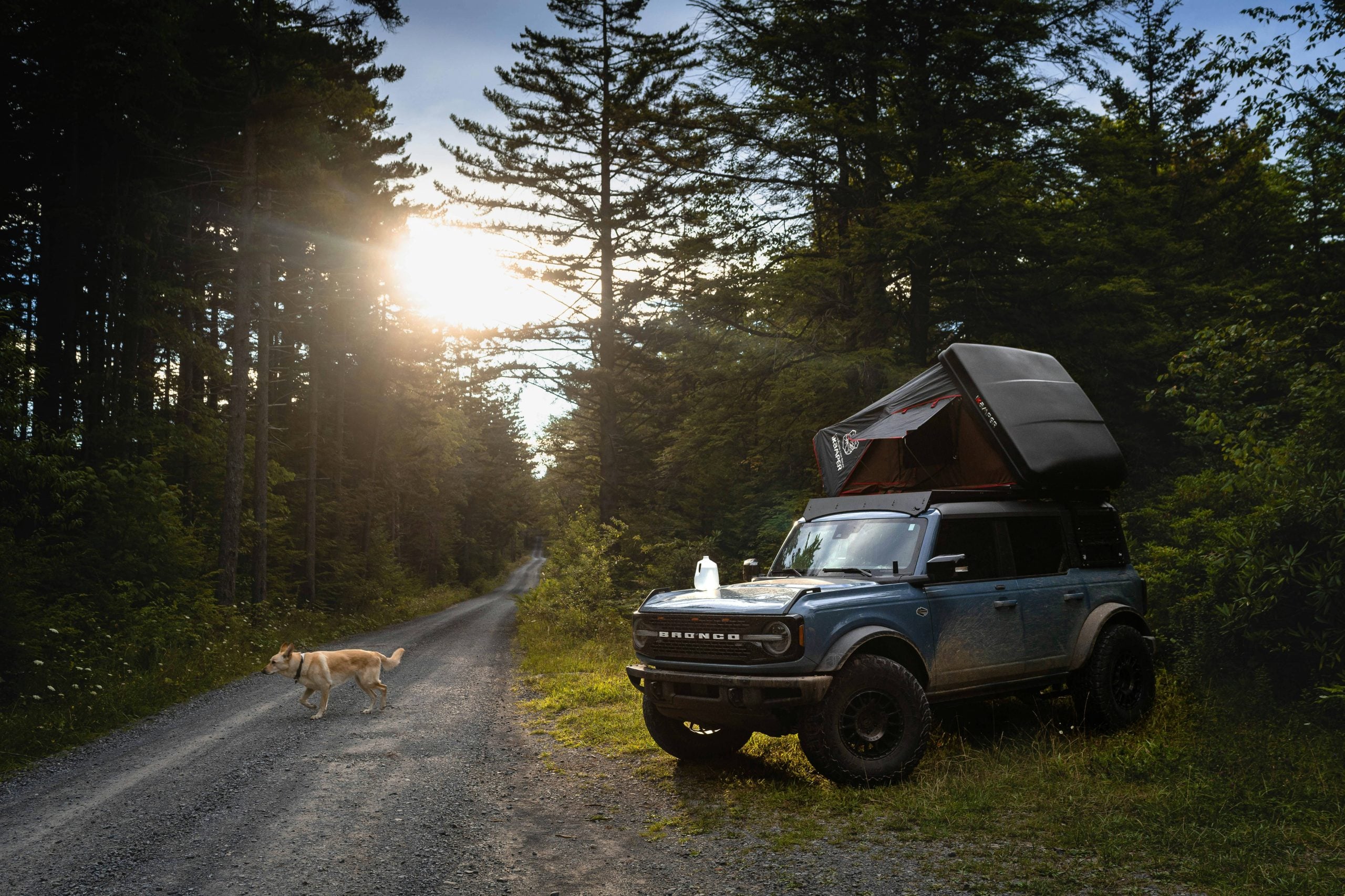 2026 ford bronco nature