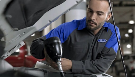 ford multi point inspection overview