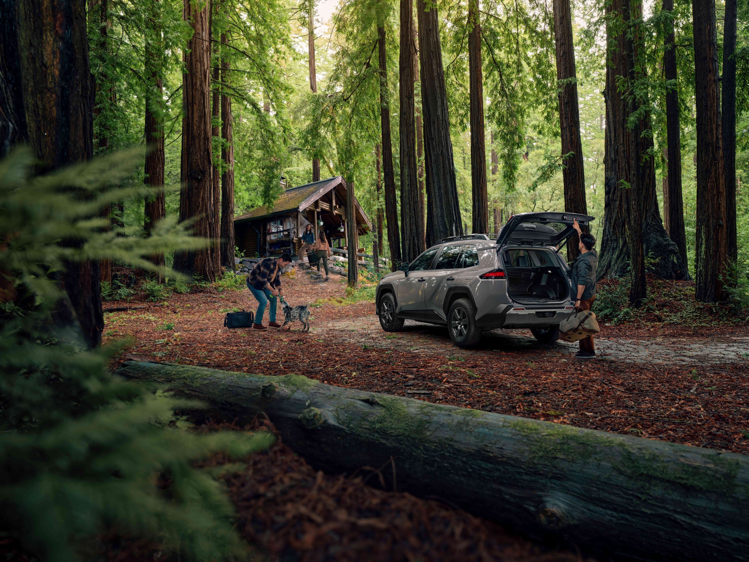 2026 RAV4 available now at Orleans Toyota
