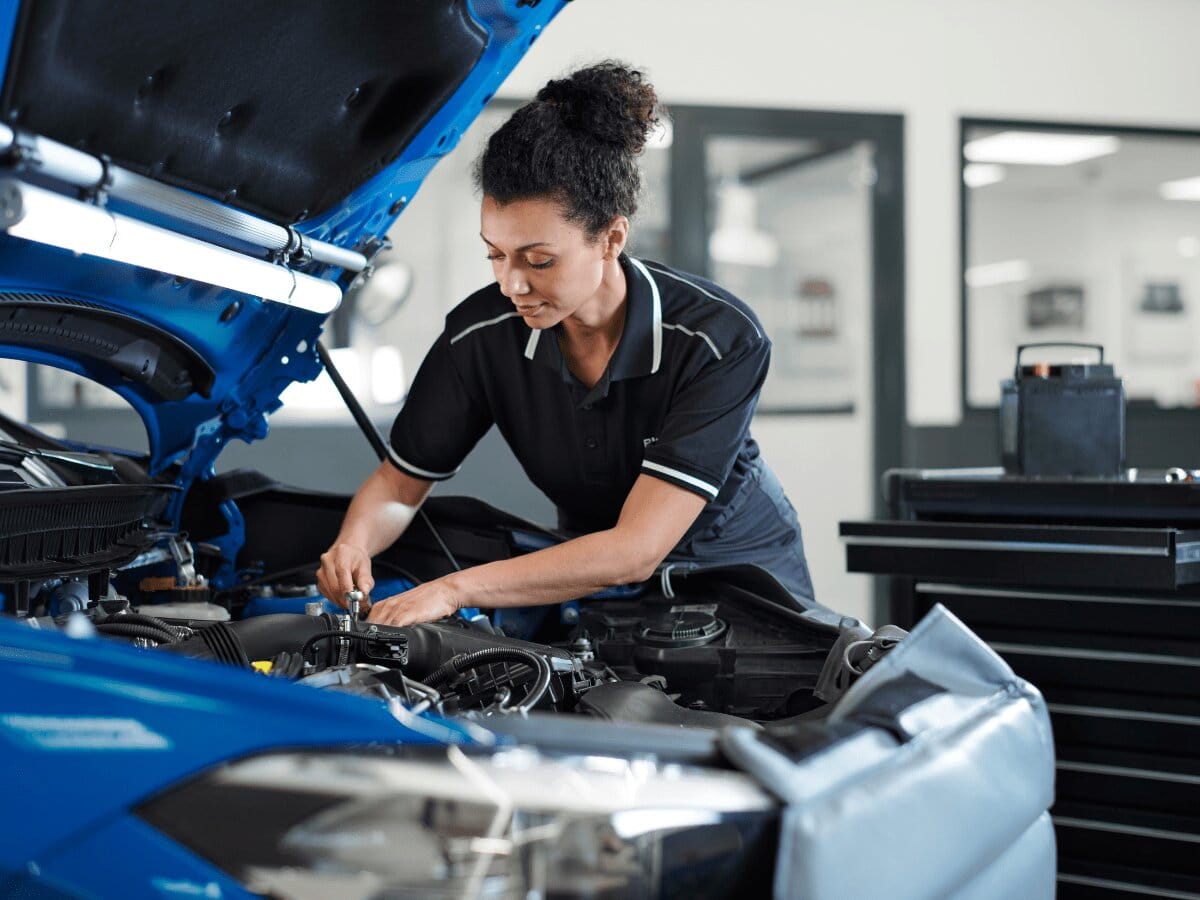BMW Multi point inspection overview